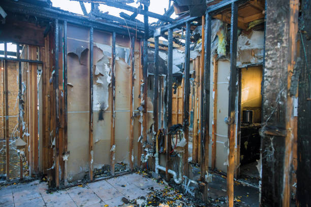 Professional Fire Damage Removal technician working in De Pue, IL